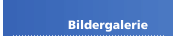 Bildergalerie